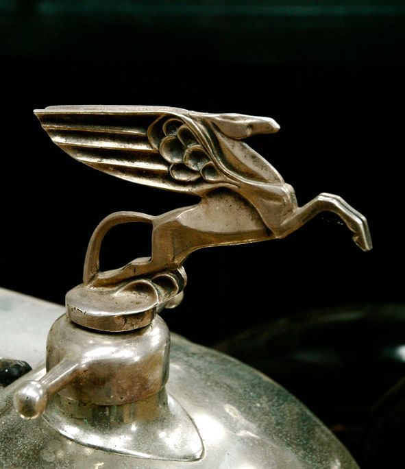 373110798_805846591267054_6288917932674839208_n